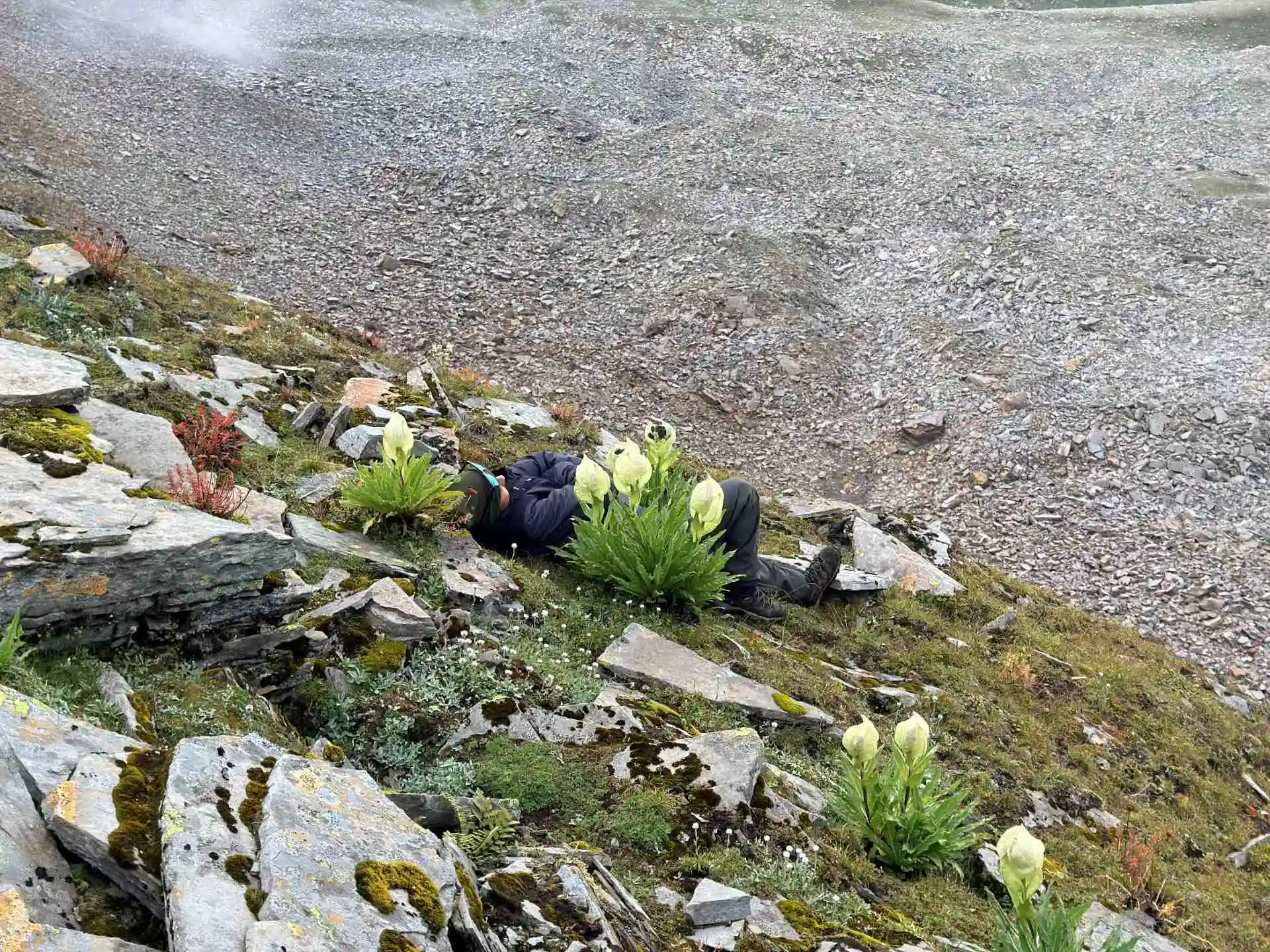 Rupin Pass Trek