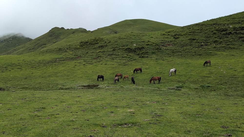 Dayara Bugyal Trek Overview