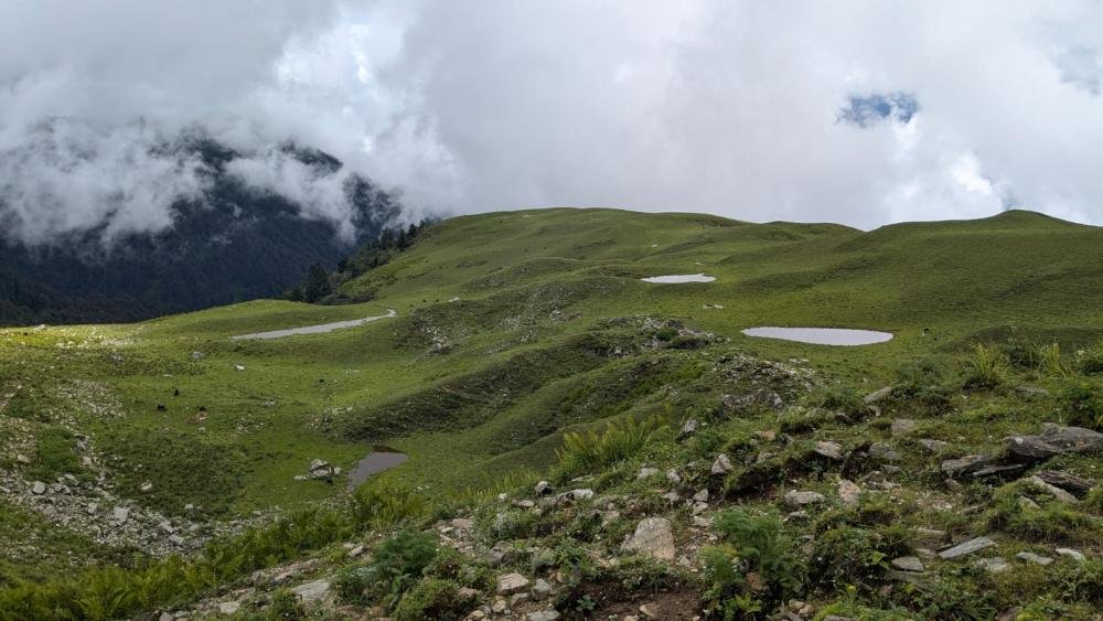 Dayara Meadows