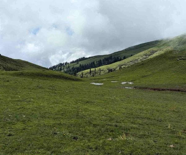 Dayara Bugyal Trek